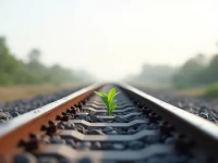 US Rail Freight Volumes Reflect Mixed Economic Signals in May