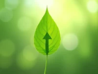 Amazons Climate Pledge Program Helps Sellers Increase Sales