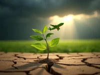 可持续航空燃料产量增长受阻政策导向亟待调整