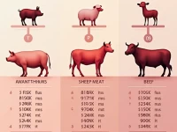 精细化肉类出口HS编码一览与退税政策解析