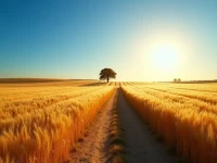 美国进口贸易风向突变1月激增难掩全年颓势特朗普关税成最大变数