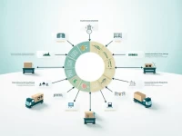 Delayed Payment Fees Impact Import Process Efficiency