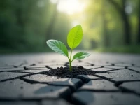 疫情阴影下的坚韧二月非制造业展现超预期增长