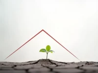 亚马逊流量断崖式下跌销量暴跌50资深卖家教你旺季逆袭