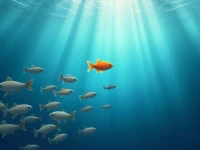 Amazon Struggles With Traffic Strategy in New Product Launch