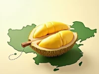 Malaysia Eyes Chinas Durian Market Amid Trade Policy Shifts