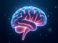 Tiktok Discloses Algorithm Details Reshaping Global Marketing