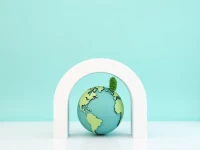 Guide to HS Codes for Spirulina and Chlorella Powder Imports