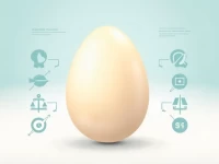 HS Code 0407009100 Tax Rules for Salted Duck Eggs