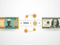 有效掌握汇率25 SDG 如何兑换为 USD