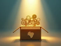 冈比亚海关能力跃升世界海关组织助力打造专家级师资队伍