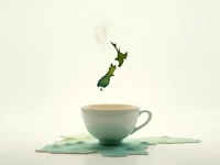 新西兰茶叶集运全攻略流程关税清关一站式指南