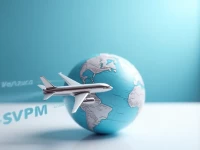 委内瑞拉帕拉米约机场代码揭秘SCI 与 SVPM