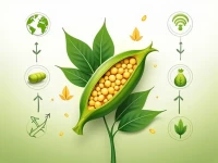 Global Trade Rules for Nonseed Soybeans Under HS 1201009900