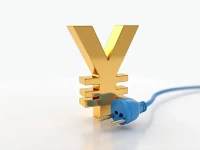 Amazon Japan Sellers Face PSE Certification Hurdles for Electrical Goods