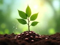 Starbucks Targets Farmlevel Emissions for Carbonneutral Coffee by 2030