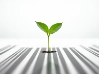 Wcos Green HS Initiative Promotes Sustainable Global Trade