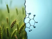 US Rail Freight Sees Chemical Gains Grain Drops in March