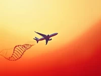 中沙经贸快线直航加速共赢未来