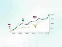 了解印尼卢比与美元汇率投资者必看