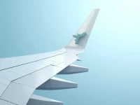 空中桥梁航空运输对阿根廷经济的深度影响与潜力挖掘