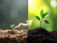 Shopee新手避坑指南本土店 vs 跨境店选哪个