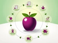 Global Trade Guide for Fresh Plums Under HS Code 080940