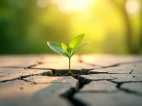 美国零售业春潮涌动三月销售额劲增复苏之路稳步前行