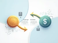 Best Practices for Converting Somali Shillings to US Dollars