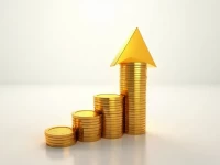 埃斯瓦蒂税务局人才升级基于胜任力的HRM体系建设深度解析