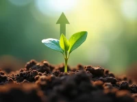 Tiktoks Datadriven Strategy for Growing New Accounts