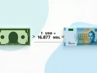 10 USD to Moldovan Leu Latest Exchange Rate Update