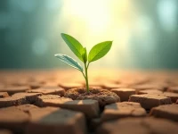 经济寒冬中的一线曙光物流业显现复苏迹象