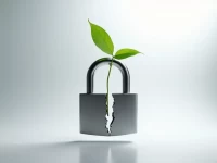 亚马逊品牌备案遭遇账户滥用高效申诉方案助您突围