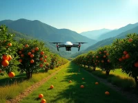 极兔速递首次尝试无人机收集奉节脐橙助力果农提效降本