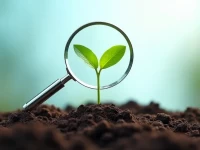 New Guide Offers Stepbystep SEO Strategies for Google Dominance