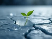 US Freight Market Stabilizes Amid Q2 Downturn