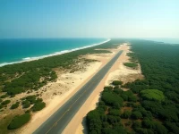 Kilwa Masoko Airport Travel Guide Key Tips for Visitors