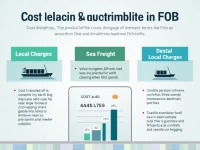 深入解析海运FOB条款下的费用承担问题