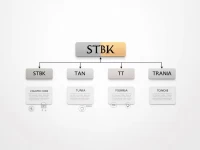 Guide to Using SOCIETE TUNISIENNE DE Banques SWIFT Code