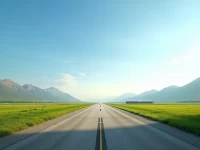 米拉姆沙机场概况及服务动态