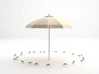 TikTok爆款户外伞蚊帐海外走红露营经济催生防蚊新商机