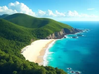 探索诺福克岛国际机场通往太平洋的门户