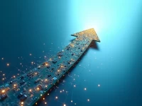 亚马逊新品上市告别流量玄学玩转数据驱动的爆款养成术