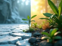 TikTok Shop全球策略冰火两重天英区折戟东南亚掘金