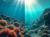 WCO Intensifies Asiapacific Crackdown on Illegal Plastic Waste