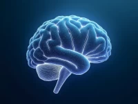 Googles Algorithm Adapts to Aigenerated SEO Content