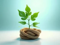 告别资金瓶颈物流金融助力电商零售企业加速增长