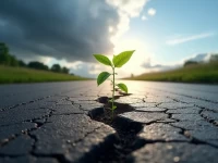 US Freight Demand Rebounds Despite Ongoing Challenges