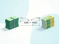 Best Ways to Convert 1000 USD to NZD